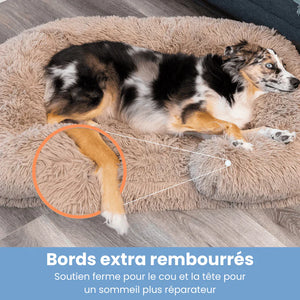 Orthopedic cushion - DoggyDream™